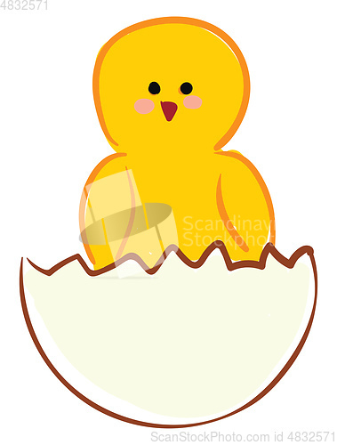 Image of Chick from egg vector or color illustration