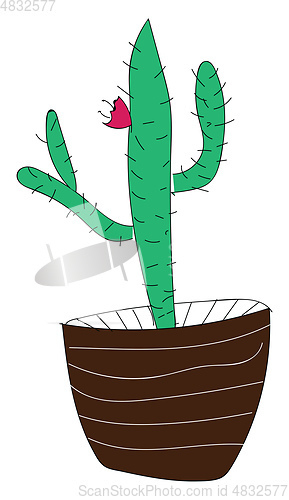 Image of Blossom of a cactus vector illustration 