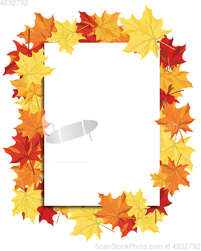 Image of Maple Frame