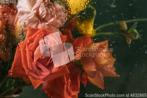 Image of Greeting card to Mother\'s, Parent\'s day. Retro styled, copyspace. Bouquet under glass with water drops