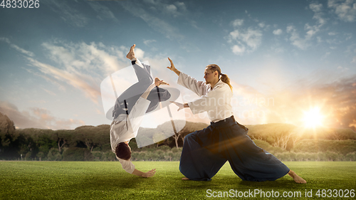 Image of Man and boy, teacher fighting Aikido, training martial arts on meadow in summer evening