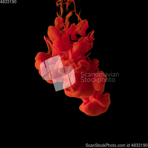 Image of Explosion of colored, fluid and neoned liquids on black studio background with copyspace