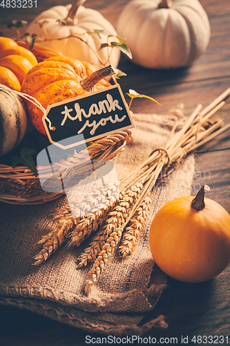 Image of Thanksgiving - still life with pumpkins, ears and autumn leaves on wooden background