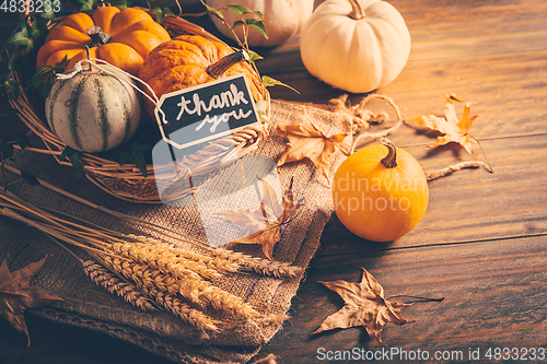 Image of Thanksgiving - still life with pumpkins, ears and autumn leaves on wooden background