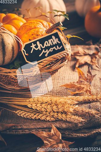 Image of Thanksgiving - still life with pumpkins, ears and autumn leaves on wooden background
