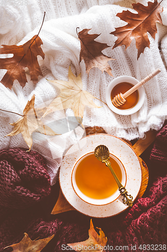 Image of Hot tea with honey,  warm sweaters and autumn leaves