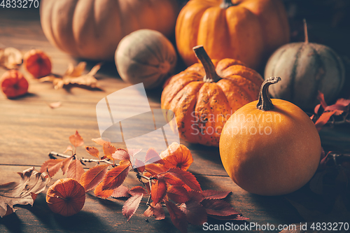 Image of Pumpkins for Thanksgiving on wooden background 