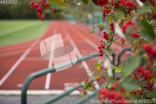 Image of Running Track