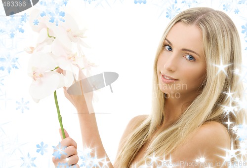Image of white orchid