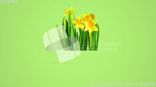 Image of Bright spring, summer illustration in beautiful colors, modern design