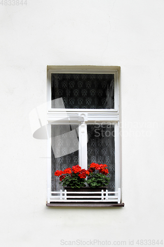 Image of Window with bright red geranium flowers