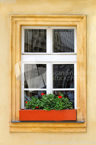 Image of Window of old house with geranium flowers