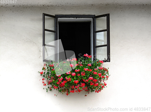 Image of Open window decorated with beautiful bright geranium flowers 