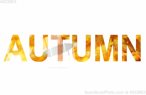 Image of Word AUTUMN with a bright leaves of maple tree pattern 