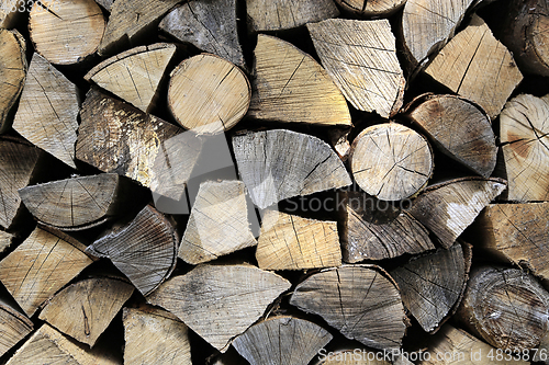 Image of Firewood pile stacked chopped wood trunks