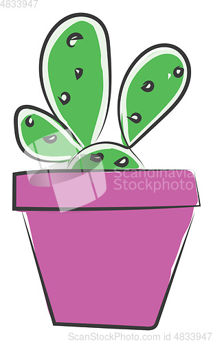 Image of Cactus brooch vector or color illustration