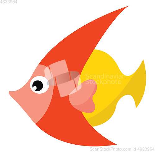Image of Orange and yellow fish vector or color illustration