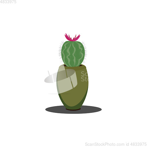 Image of Cactus in the blooming stage vector illustration 