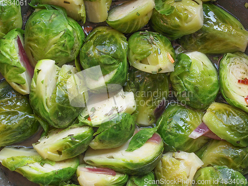 Image of Brussels sprout cabbage vegetables