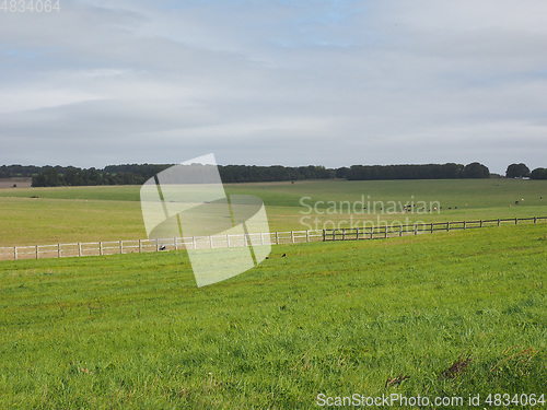 Image of English country panorama in Salisbury