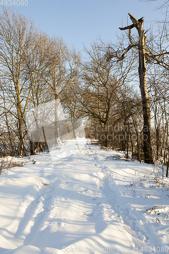 Image of Snow after snowfall