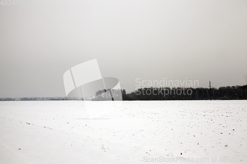 Image of Winter landscape, snowfall