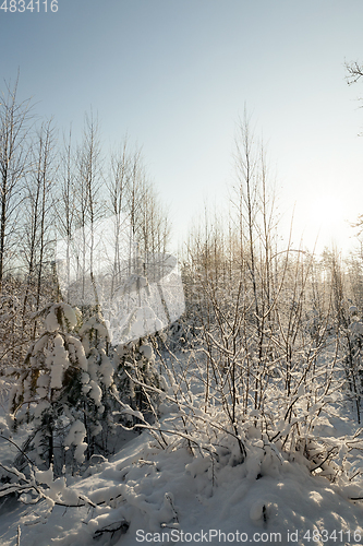 Image of Snow drifts in winter