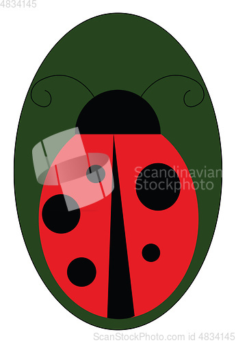 Image of Ladybug on a leaf vector or color illustration