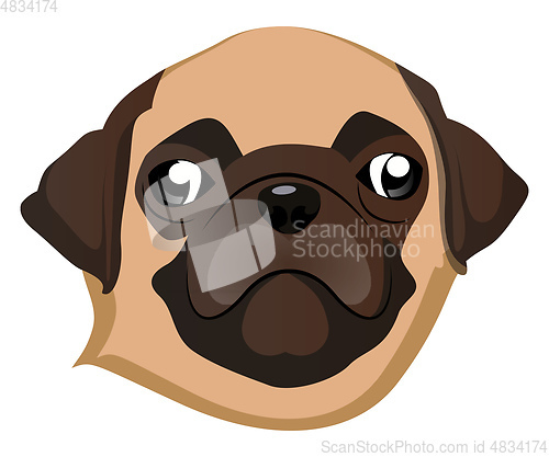 Image of Pug illustration vector on white background