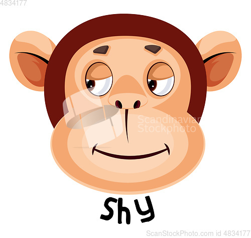 Image of Monkey is feeling shy, illustration, vector on white background.