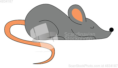 Image of Mouse sleeping illustration vector on white background 