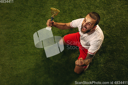 Image of Top view of caucasian football or soccer player on green background of grass