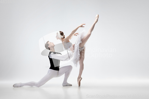 Image of Young graceful couple of ballet dancers on white studio background