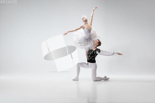 Image of Young graceful couple of ballet dancers on white studio background