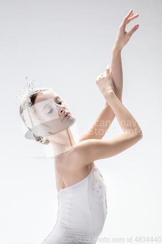 Image of Young graceful ballerina on white studio background