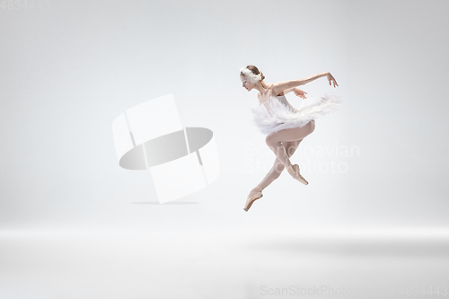 Image of Young graceful ballerina on white studio background