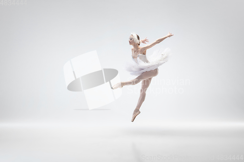 Image of Young graceful ballerina on white studio background