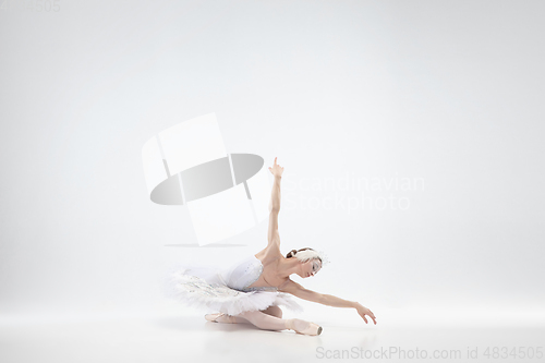 Image of Young graceful ballerina on white studio background