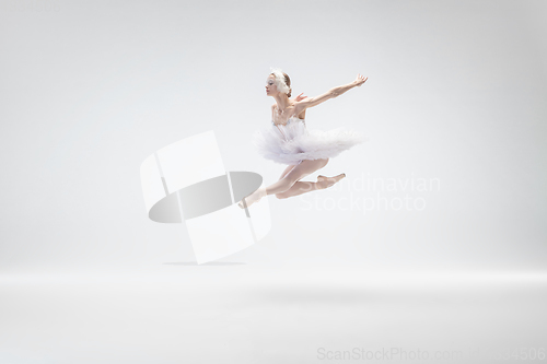 Image of Young graceful ballerina on white studio background