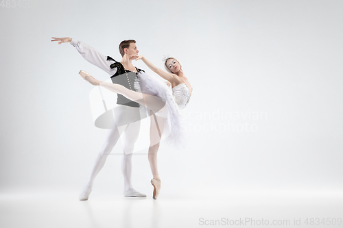 Image of Young graceful couple of ballet dancers on white studio background