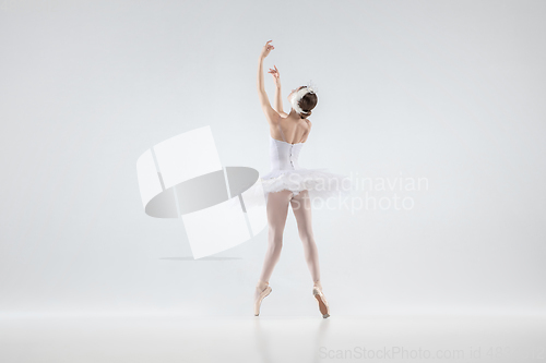 Image of Young graceful ballerina on white studio background