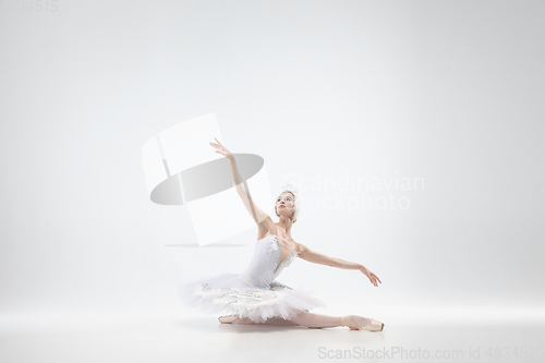 Image of Young graceful ballerina on white studio background