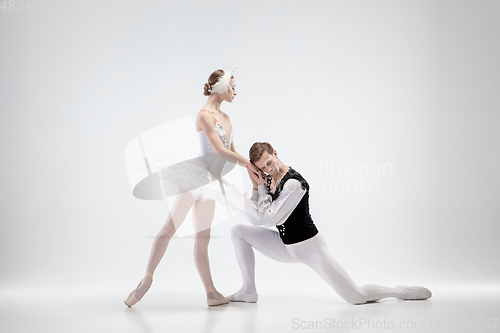 Image of Young graceful couple of ballet dancers on white studio background