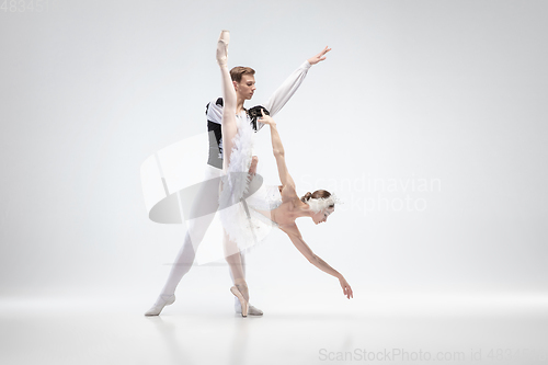Image of Young graceful couple of ballet dancers on white studio background