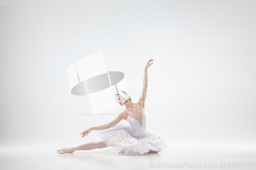 Image of Young graceful ballerina on white studio background