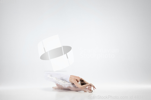 Image of Young graceful ballerina on white studio background