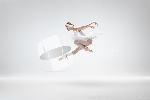 Image of Young graceful ballerina on white studio background