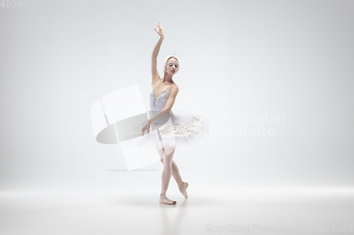 Image of Young graceful ballerina on white studio background
