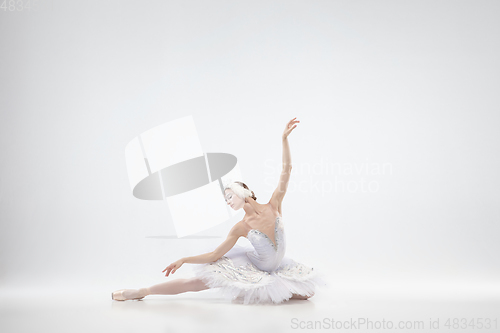 Image of Young graceful ballerina on white studio background