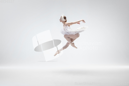 Image of Young graceful ballerina on white studio background